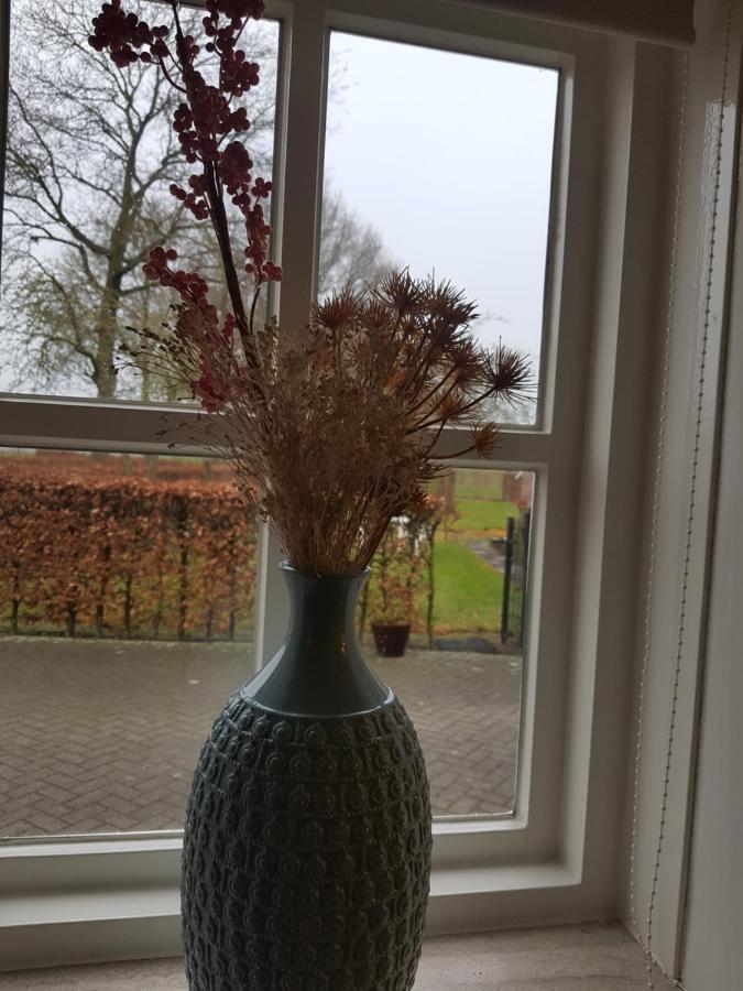 Op Ut Schoor Leilighet Sint-Oedenrode Eksteriør bilde